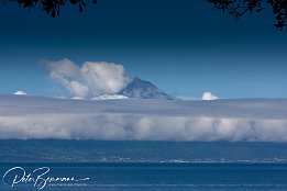 Pico - morgens, nach dem Aufstehen. Einfach herrlich.