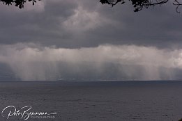 IMG 24492