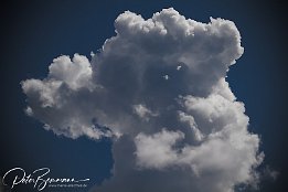 IMG 25048