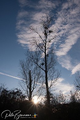 IMG 25765