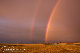 IMG 5526  Regenbogen