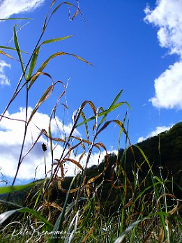 P1000130
