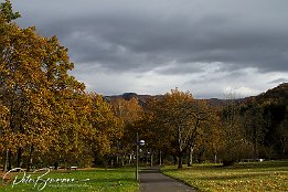 IMG 03527
