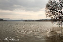 IMG 04623