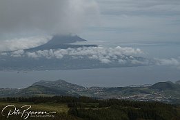 IMG_05711