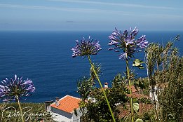 IMG_06379