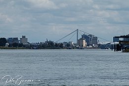 IMG_08007