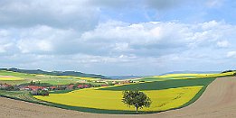 Westpfalz  Westpfalz, bei Rockenhausen (Donnersbergkreis) bei einer Tagestour