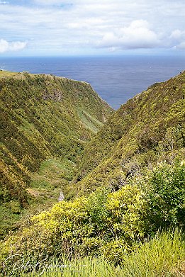 IMG_05776 Nordseite Faial