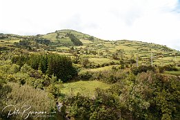 IMG_05778 Faial