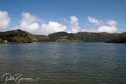 IMG 06312