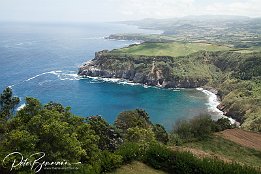 IMG 06719