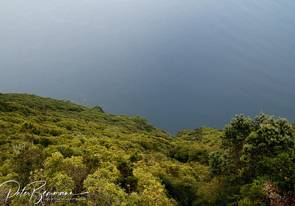 Azoren Landschaftseindrcke der Azoren-Inseln Pico, Faial und Sao Miguel