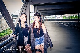 IMG 37564