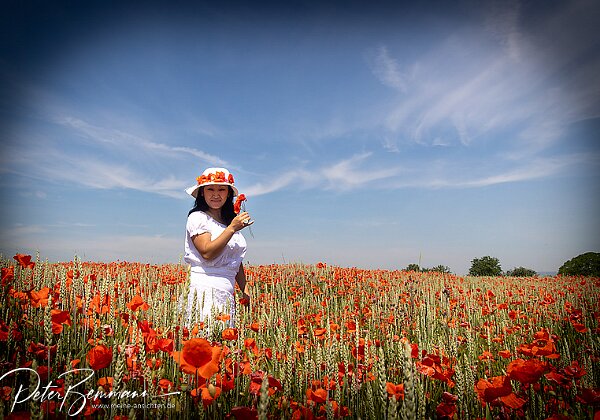 Ayida & Demir Shooting im Mohnfeld