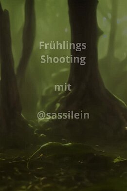 2026.03.08 - SassiWald null