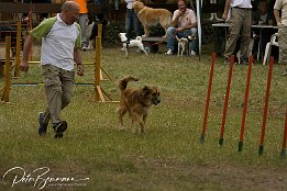 Offene Vereinsmeisterschaften 2007 des Agility-Team Heidesheim