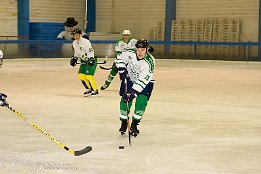 Eishockey