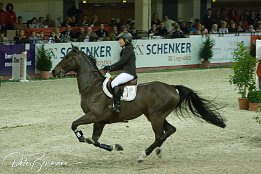 IMG 6535  Festhallen Reitturnier FFM 2007 - Meredith Michaels-Beerbaum/Checkmate