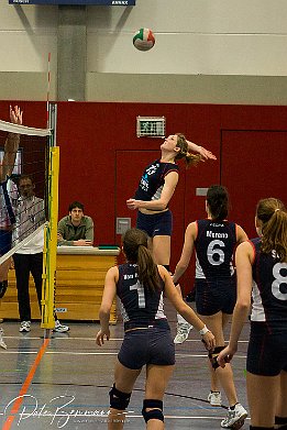 IMG_0977 Volleyball Damen TSG Bretzenheim vs VC 2000 Bad Kreuznach