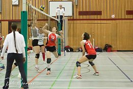 IMG 12252