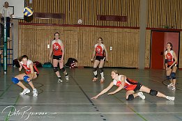 IMG 12313