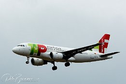 IMG_6660