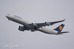 IMG_6751