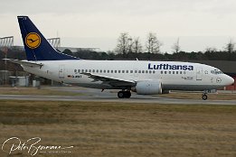 IMG_6772