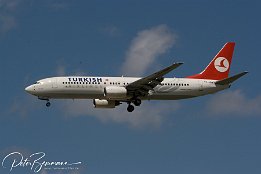 IMG 2939 : Flugzeug, Frankfurt Airport, Planespot, Test EF 100-400