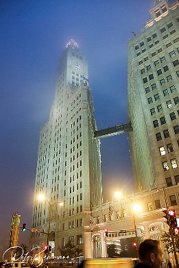 _DSF2877