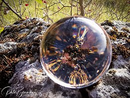 IMG_20211001_170607 Im Blick durch die Glaskugel ergeben sich aus 
