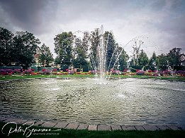 DSCF5463