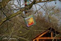 IMG_4220 Besondere Kunst in der alten Ziegelei
