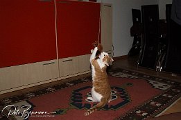 IMG 26830