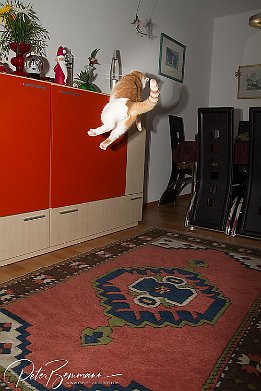 IMG 26913