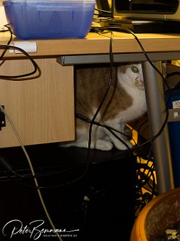 Gismo  Ich als Computerfreak - der Platz ist auch nicht schlecht