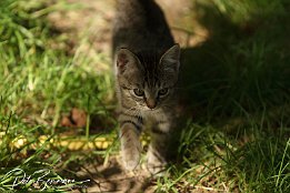 IMG 03058-r1