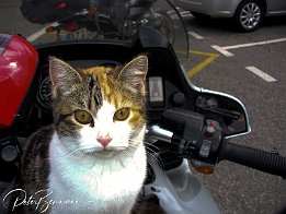 Mitfahrer!?  dann den Fahrer mal prüfen