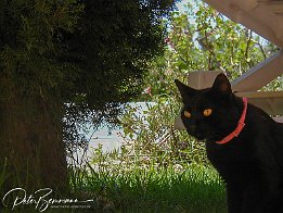 P6210513