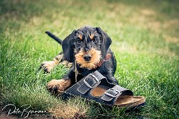 IMG_7D_03287 Max