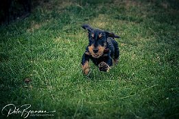 IMG_7D_03324 Max