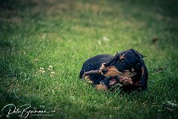 IMG_7D_03335 Max