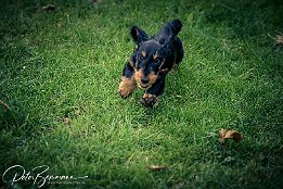 IMG_7D_03370 Max