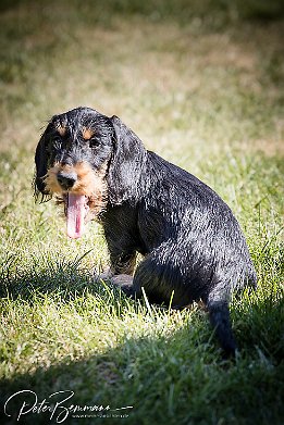 IMG_RP_05517 Max