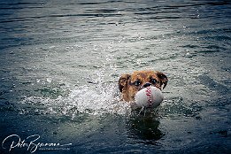 IMG 51767