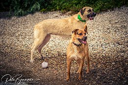 IMG 51809