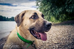 IMG 51826