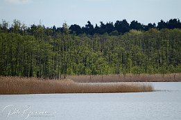 IMG_01831 beim Aussphen ber dem Wasser