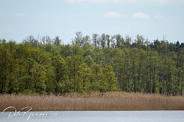 IMG 01837